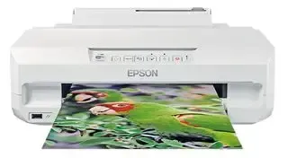Expression Photo XP-55 Wireless Inkjet Printer -  C11CD36401